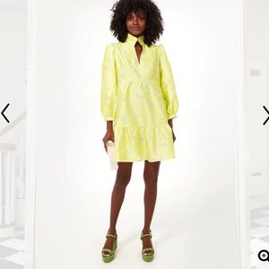 Tuckernuck Citron Fil Coupe Palmerston Dress